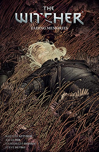 Fading Memories book cover