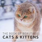 The Book Of Beautiful Cats Kittens Picture Book For Seniors With Dementia Alzheimers Picture Activity Books For Seniors