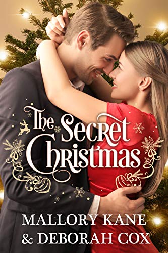 The Secret Christmas book cover