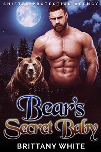 Bear's Secret Baby cover