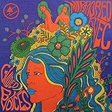 Mirrored Aztec (2020)