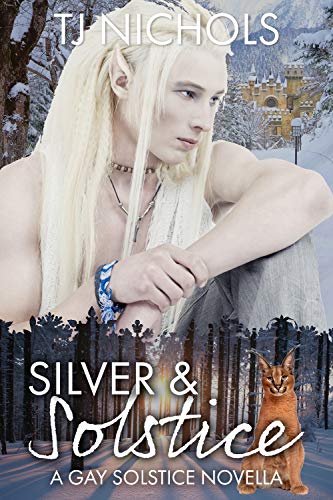 Silver & Solstice book cover