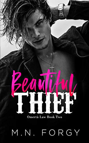 Beautiful Thief book cover