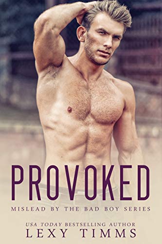 Provoked: MC Mafia Romance cover