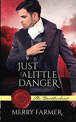 Just a Little Danger book cover