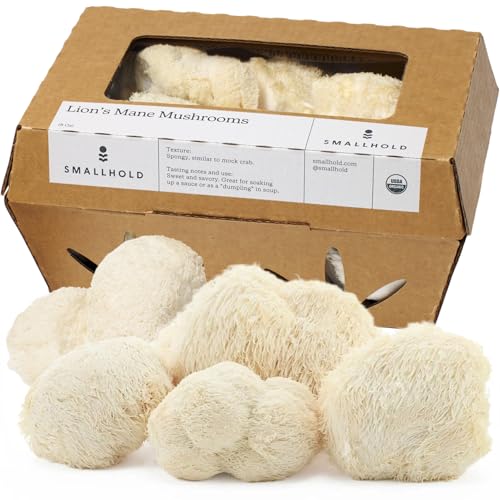 Smallhold, Mushroom Lions Mane Organic, 8 Ounce