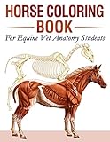 Horse Coloring Book For Equine Vet Anatomy Students 35 Incredibly Highly Detailed Pictures Of Horses To Help You Make Your Studies Easier More Fun And Stressrelieving