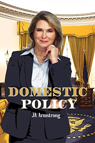 Domestic Policy book cover