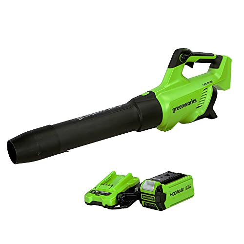 Greenworks 24252 Cordless Axial Leaf Blower Yards