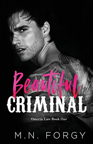 Beautiful Criminal cover