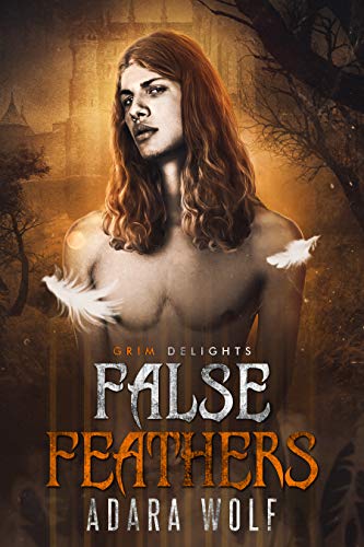 False Feathers (By: Adara Wolf) cover