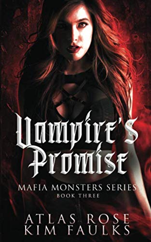 Vampire's Promise book cover