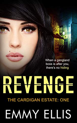Revenge book cover