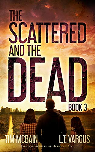 Book 3 book cover