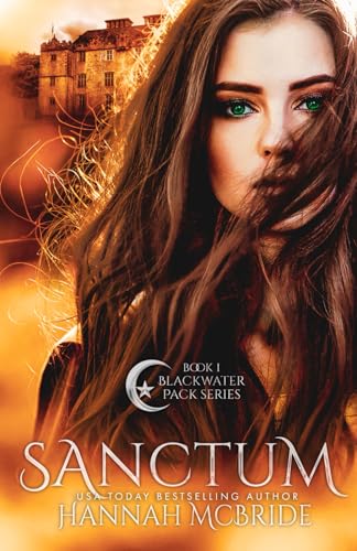 Sanctum book cover