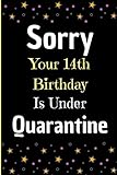 Sorry Your 14th Birthday Is Under Quarantine Funny Quarantine Journal Gift Doodle Diary14 Year Old Notebook For Girls And Boys Adorable Card Alternative