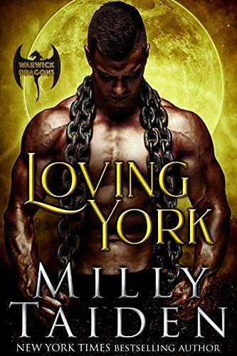 Loving York book cover