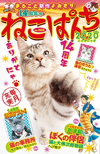 ねこぱんち No.169 14周年号の作品情報、単行本情報 | アル