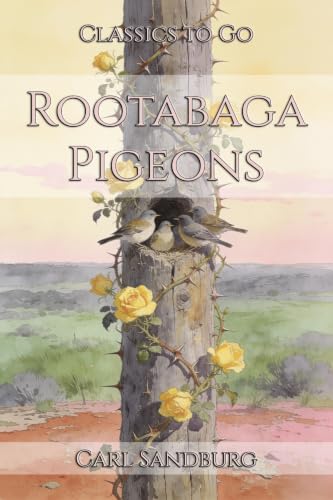 Rootabaga Pigeons book cover