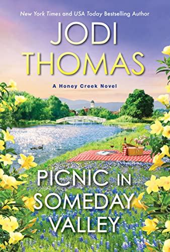 Picnic in Someday Valley book cover