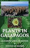 Plants In Galapagos