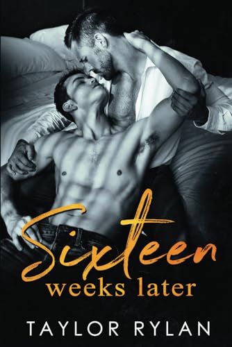 Sixteen Weeks Later book cover