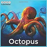 Octopus 2021 Calendar Official Octopus 2021 Wall Calendar 18 Month