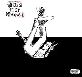 Tickets to My Downfall