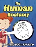 The Human Anatomy Coloring Book For Kids An Entertaining Guide To The Internal Organs Of The Human Body With Fundamentals Facts Great Gift For Boys And Girls