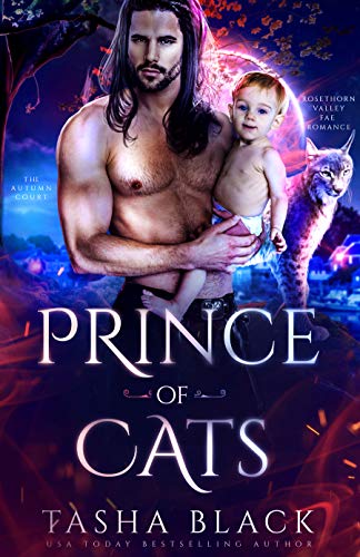 Prince of Cats book cover