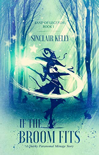 If the Broom Fits book cover
