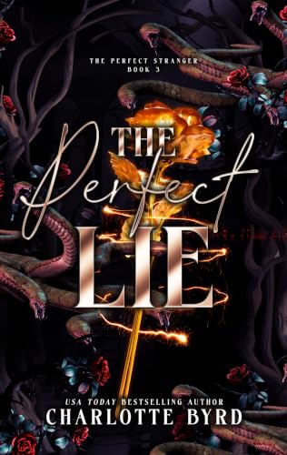 The Perfect Lie book cover