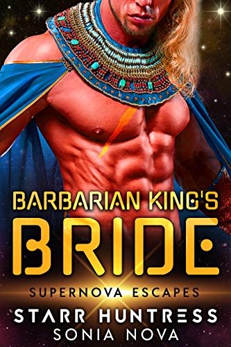 Barbarian King's Bride book cover