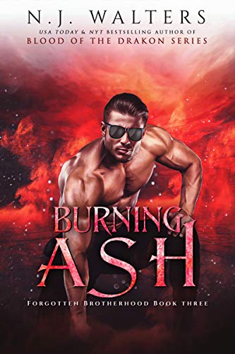 Burning Ash book cover