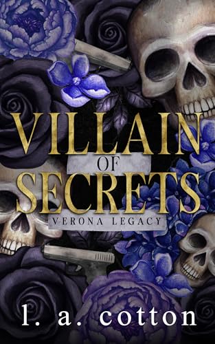 Villain of Secrets book cover