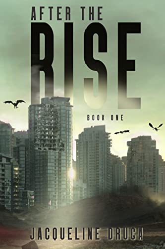 After The Rise: Book 1 book cover