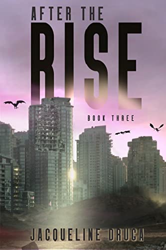 After the Rise: Book 3 book cover