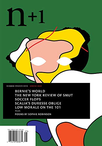 n+1 Issue 25: Slow Burn cover