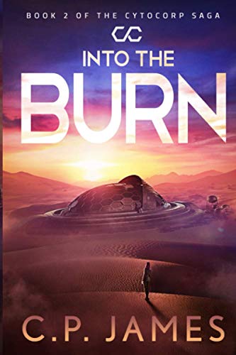 Into the Burn book cover