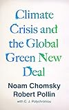 Climate Crisis And The Global Green New Deal The Political Economy Of Saving The Planet