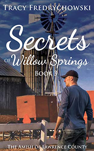 Secrets of Willow Springs 3 book cover