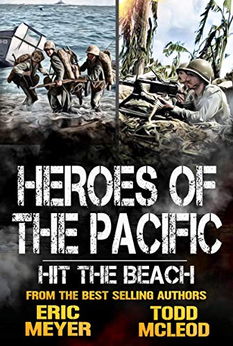 Hit the Beach book cover