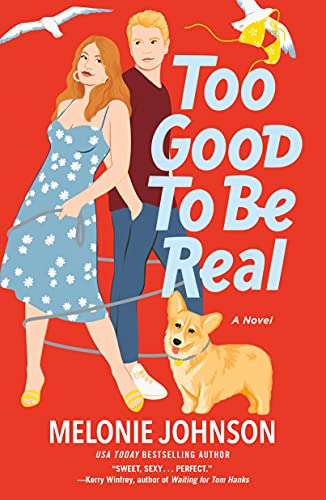 Too Good to Be Real book cover
