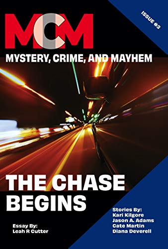 The Chase Begins book cover