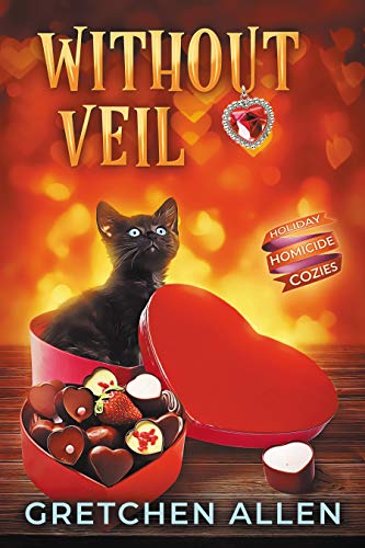 Without Veil book cover