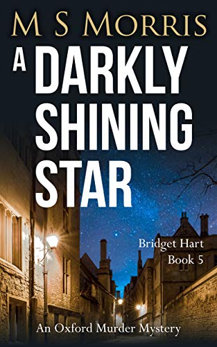 A Darkly Shining Star cover