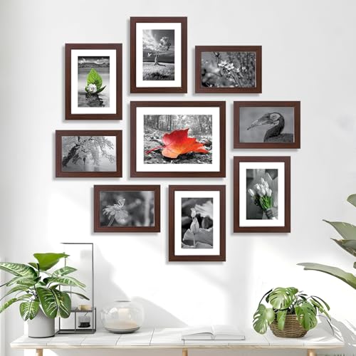 Synthetic Collage Set Of 9 Photo Frames ( 5 X 7 Inch - 4, 6 X 8 Inch - 4 & 8 X 10 Inch - 1) , Brown, Rectangular, wall mount