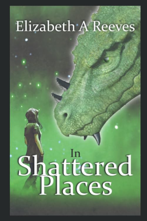 In Shattered Places book cover