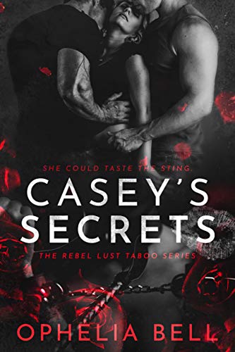 Casey's Secrets book cover