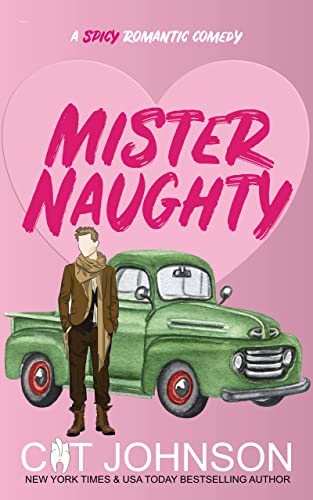 Mister Naughty book cover
